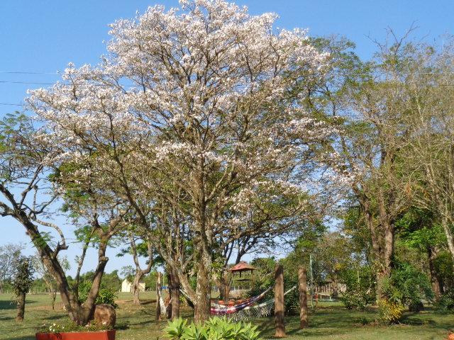 Pousada Fazenda Buracao 莫科卡 外观 照片
